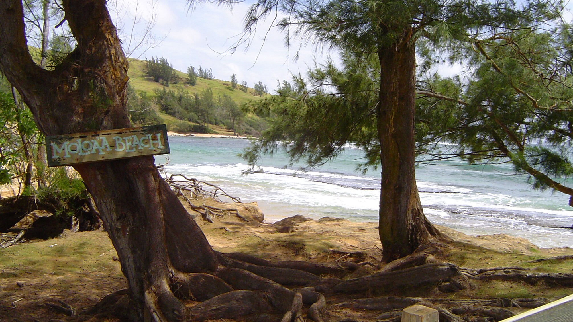 Kauai Island Sightseeing Movie Tour & Lunch at Kalypso Disney Cruise Line