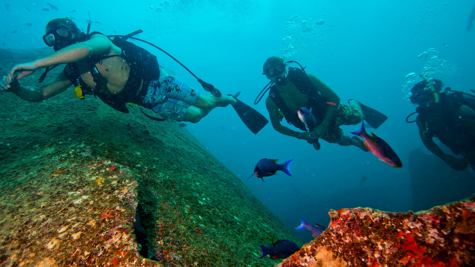 Aruba 2Tank Certified Scuba Dive Disney Cruise Line