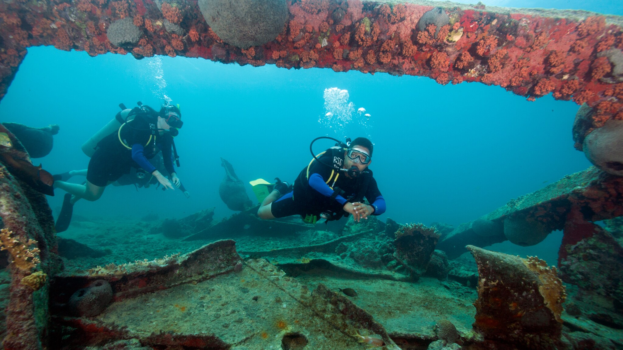 Aruba Learn to Scuba Dive Disney Cruise Line