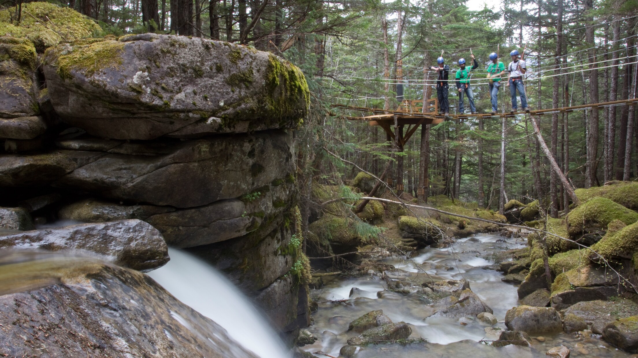 Grizzly Falls Ziplining Expedition Disney Cruise Line