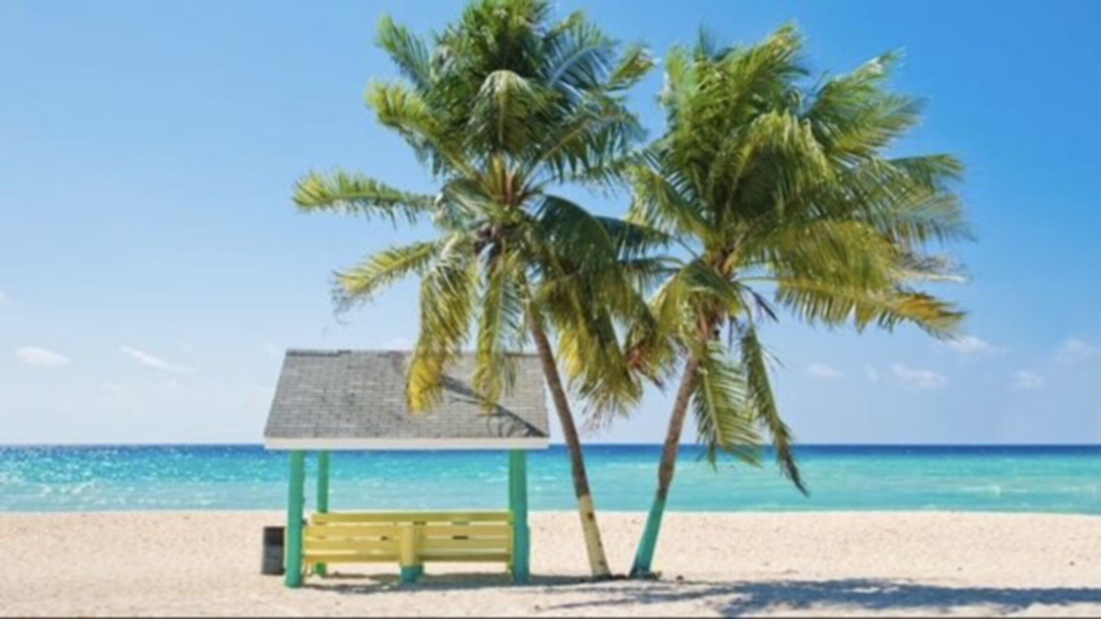 Panoramic Bus Tour of Grand Cayman | Port Adventures | Disney Cruise Line