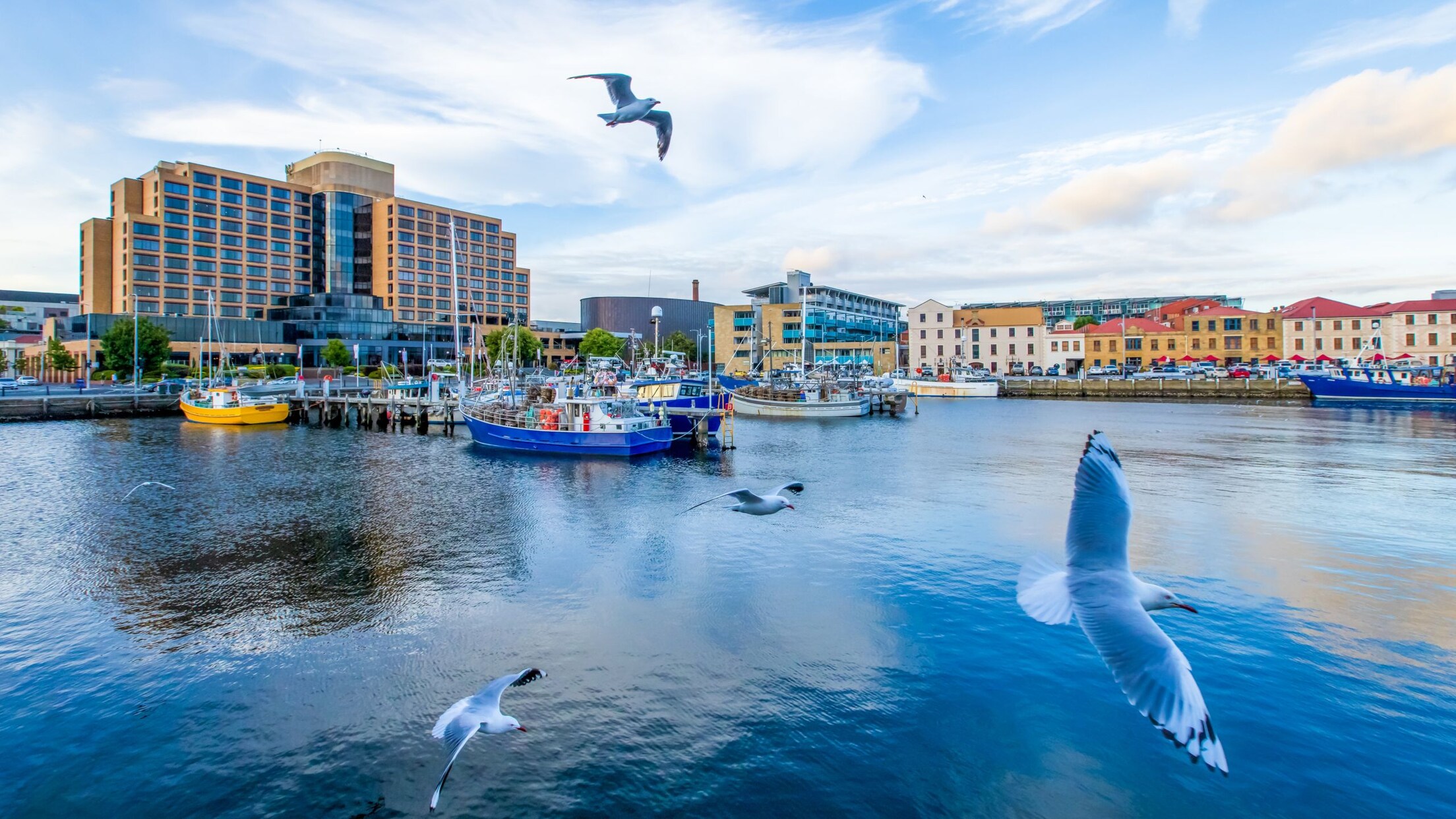 Kayaking Tour in Hobart City, Australia Port Adventures Disney