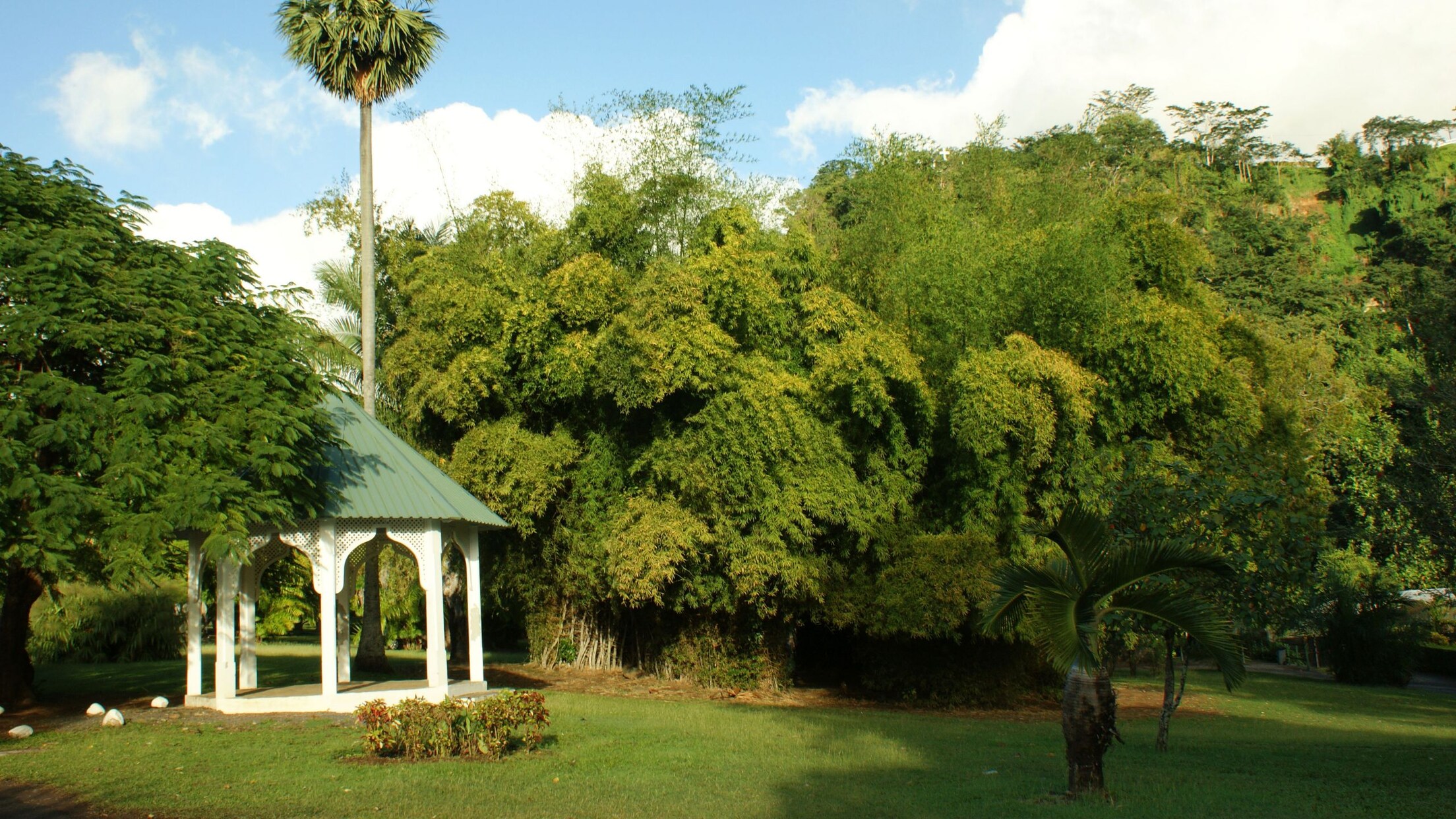 Roseau Highlights by Trolley Train Disney Cruise Line