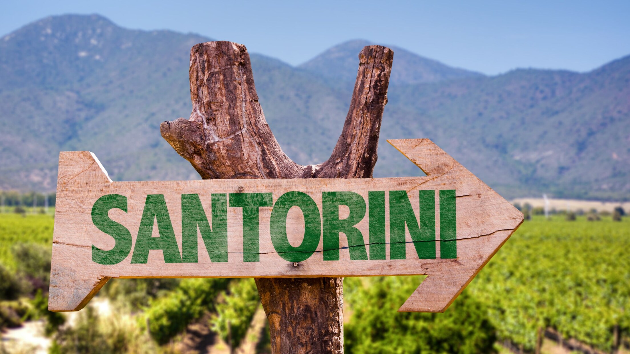 Santorini Beer and Wine Tour Port Adventures Disney Cruise Line