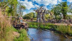 An open-air safari bus drives in a river past 3 elephants