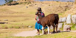 A Peruvian woman in a hat leads an alpaca down a dirt path