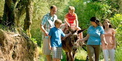 A boy rides a donkey led by an Adventure Guide while his mom, dad and brother walk along A boy rides a donkey led by an Adventure Guide while his mom, dad and brother walk along