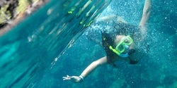 A girl snorkels underwater