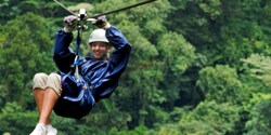 A woman zip lines above the forest