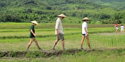 Nicholas Thomas and his two sons walking alone a rice paddy