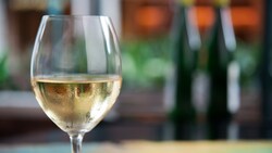 White wine in a glass at Mendocino Terrace at Golden Wine Winery