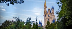 Tree branches framing Cinderella Castle at Magic Kingdom park
