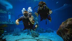 Two scuba divers wave at the camera while floating underwater in a large aquarium tank  