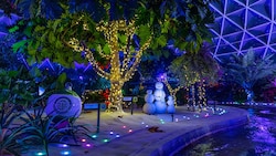 Trees decorated with Christmas lights and 3 snowmen inside the Living with the Land attraction