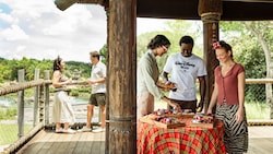 Guests socializing around a table of snacks at a patio in Harambe Wildlife Preserve