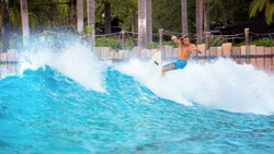 Un homme, entouré de palmiers, surfe sur une vague