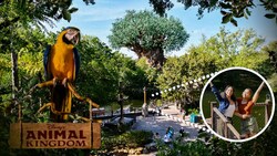 Two smiling women at the Photo Pass Super Zoom location in the Asia area of Disney's Animal Kingdom theme park with the Tree of Life in the distance
