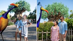 A Disney Magic Shot, featuring Kevin, the large bird from the movie Up, with 2 couples at the Tree of Life in Disney’s Animal Kingdom theme park