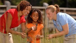 A mother shows her daughter a seashell while the guide looks on