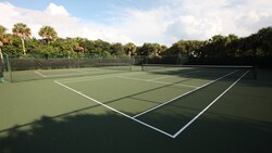 Two hard-court tennis courts bordered by trees