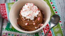 A bowl of chocolate ice cream topped with whipped cream and crushed peppermint candy