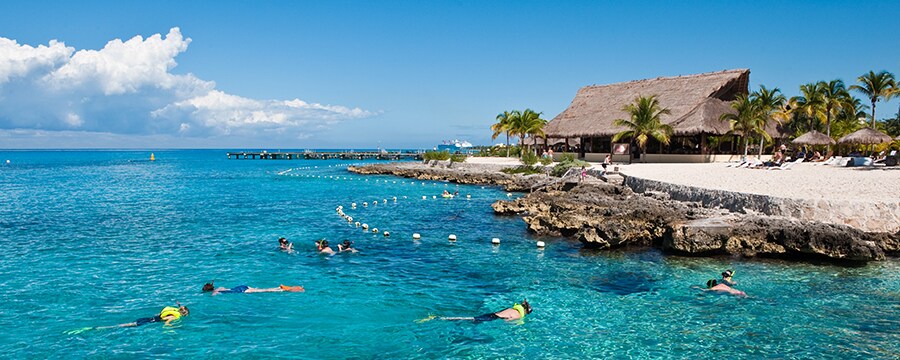 Snorkelers swim in front of a rocky shoreline with a large thatched hut and palm trees on it