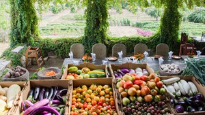 A long dining table set up in a garden next to several boxes of fresh produce