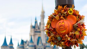 Vacation Guide to Disney World for Adults | Walt Disney World Resort