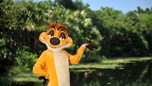 Timon de The Lion King en el Parque Temático Disney’s Animal Kingdom