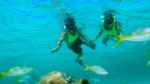 Debajo del mar, 2 buzos con esnórquel se toman de las manos mientras los peces nadan