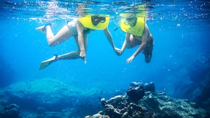 2 underwater snorkelers look at fish and coral