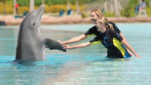 2 mujeres tocan la aleta de un delfín en un encuentro con delfines