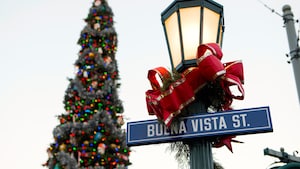 A Christmas tree near a street lamp with a street sign that reads Buena Vista Street