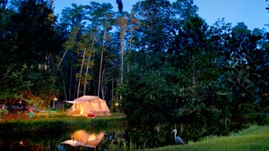 Entourée d’arbres, une tente au terrain de camping Fort Wilderness est illuminée sous les étoiles