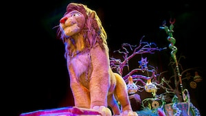 Simba se destaca durante el Festival of the Lion King en el Parque Temático Disney’s Animal Kingdom