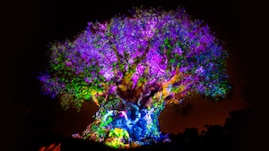 El centro emblemático del Parque Temático Disney’s Animal Kingdom se ilumina durante Tree of Life Awakenings