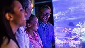 Un hombre y su esposa se ríen juntos mientras contemplan los hábitats submarinos de Future World, en Epcot