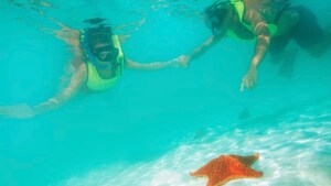 Guests snorkeling and pointing at a starfish on the ocean floor