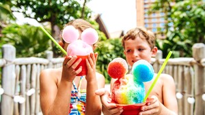 アウラニ ディズニー ハワイ リゾート