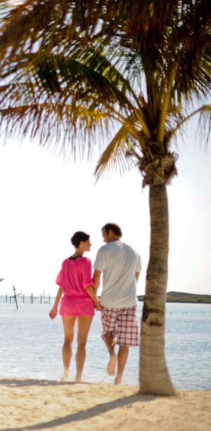 A man and woman hold hands while walking near a palm tree on a sandy beach 