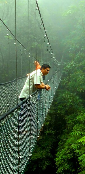 A man on a walkway suspended above a rainforest
