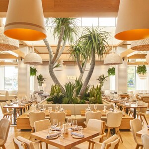 Várias árvores e outras plantas no centro do salão de um grande restaurante
