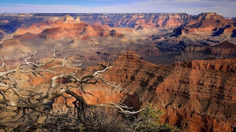 Grand Canyon Signature Land journey