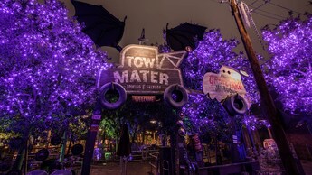 Las decoraciones de Halloween y dos letreros identifican a Maters Tow Yard y a Maters Graveyard Jamboree