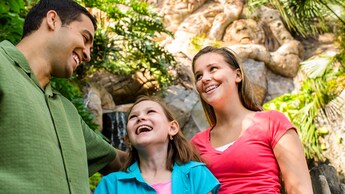 A father and his 2 daughters on Discovery Island Trails at the base of The Tree of Life