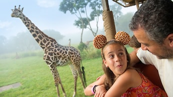 Girafas na savana, perto de uma menina que usa orelhas do Mickey Mouse com ilustração de girafa
