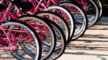 Close-up of a half dozen pink bikes stationed in bike stands