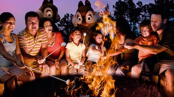 8 personas, niños y adultos, sentados alrededor de una fogata para asar malvaviscos con Chip y Dale