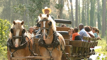 Decenas de Visitantes sonrientes viajan en la parte de atrás de una carreta al estilo del Viejo Oeste, tirada por 2&nbsp;caballos