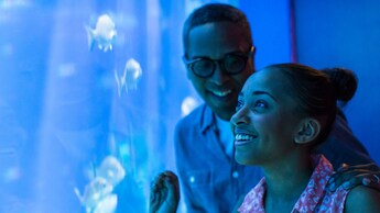 Homem e mulher perto de um grande aquário na SeaBase no EPCOT